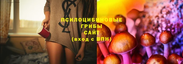 гашик Абинск