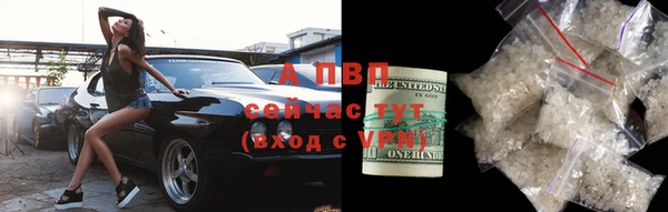 гашик Абинск
