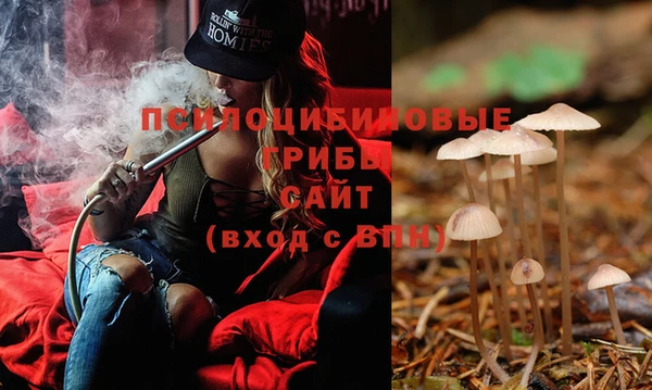 бошки Абдулино