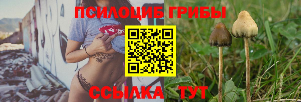 Псилоцибиновые грибы Cubensis Советский